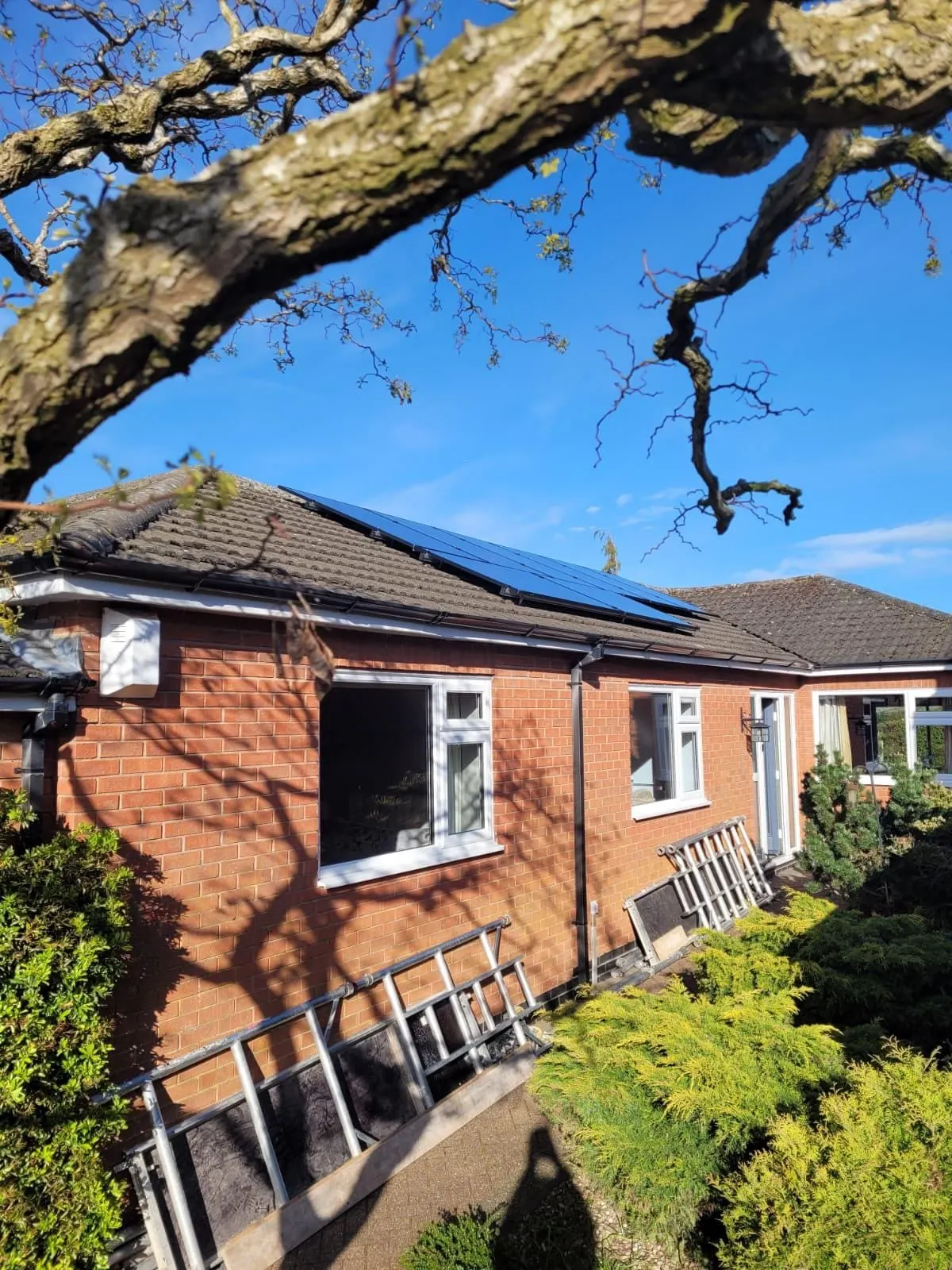 Solar PV panels on the roof of a red-brick bungalow, framed by a tree